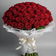 Букет 101 Красная роза Блэк Мэджик в Новоомском