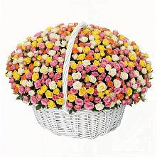 Премиум букет из: Розы в Новоомском