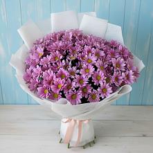 Букет цветов из:  Хризантемы в Новоомском