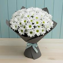 Букет цветов из:  Хризантемы #REPLACE_PRED# Новоомском