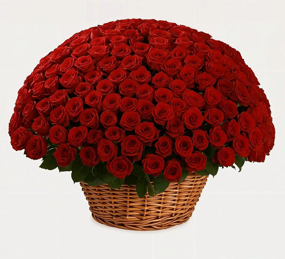 Премиум букет из: Розы в Новоомском