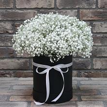 Цветочная композиция из Гипсофила в шляпной коробке в Новоомском