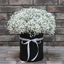 Цветочная композиция из Гипсофила в шляпной коробке в Новоомском