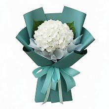 Букет цветов из:  Гортензия в Новоомском